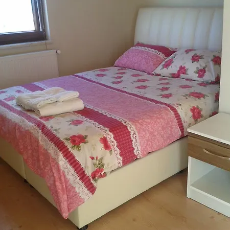 Asya Troya Homes Apartment *
