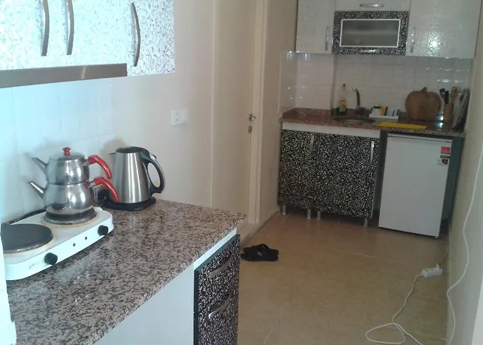 アシア トロイア ホームズ アパート *