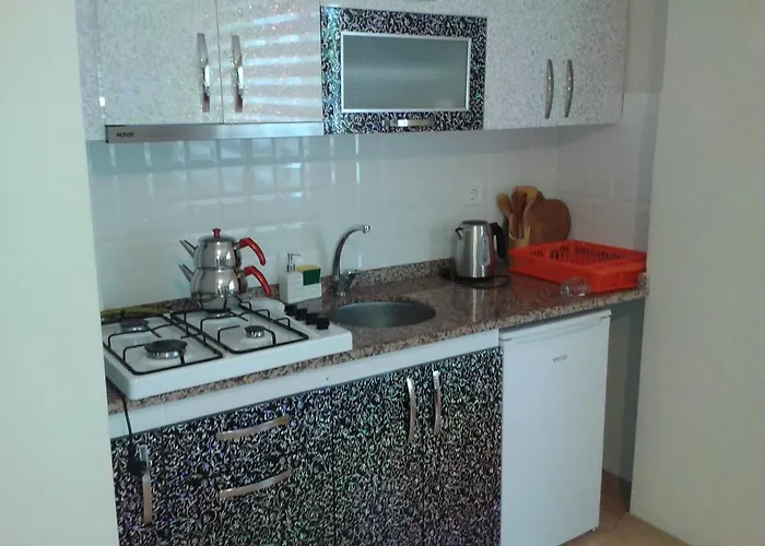 アパート アシア トロイア ホームズ チャナッカレ