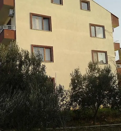 アシア トロイア ホームズ アパート