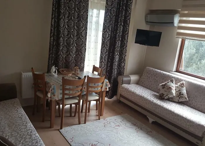 アシア トロイア ホームズ *