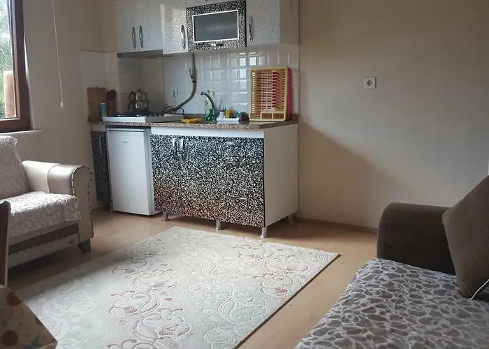 アシア トロイア ホームズ アパート チャナッカレ