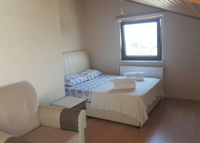 アシア トロイア ホームズ *