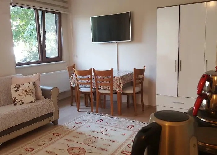 アシア トロイア ホームズ チャナッカレ